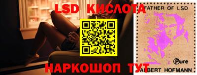 PSILOCYBIN Анжеро-Судженск