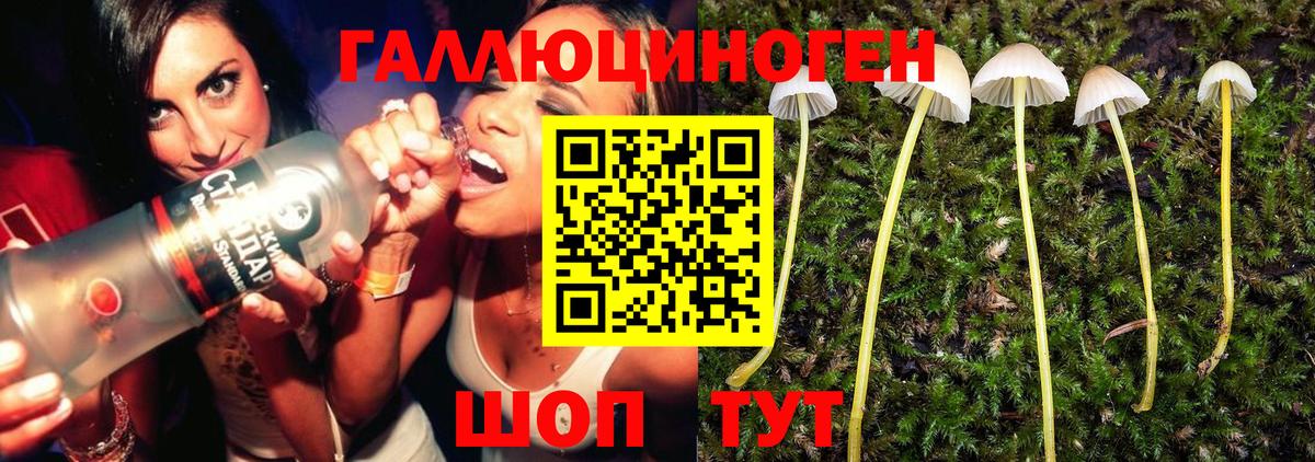 Псилоцибиновые грибы ЛСД Гулькевичи